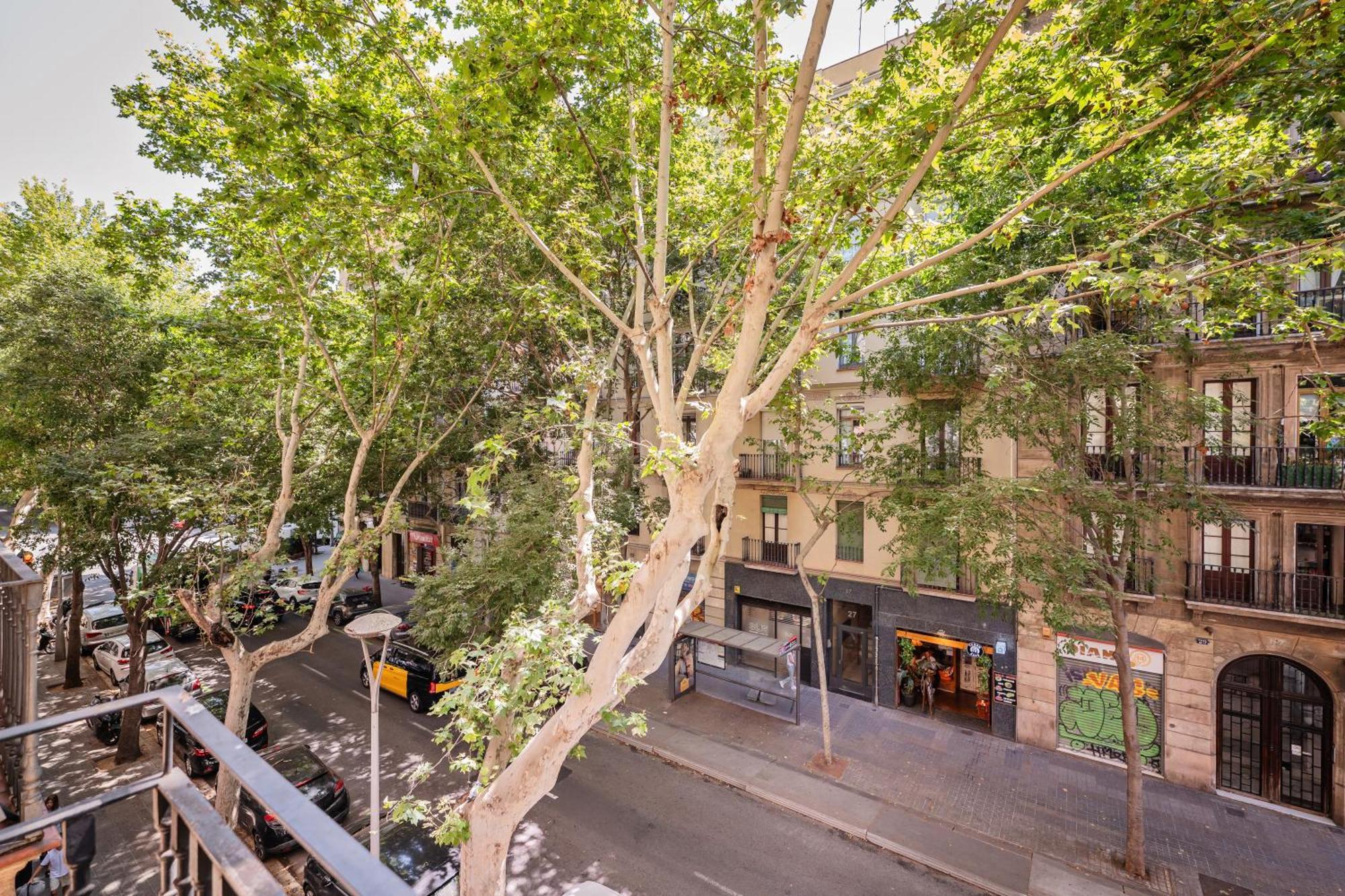 Sweett - Villarroel * Barcelona
